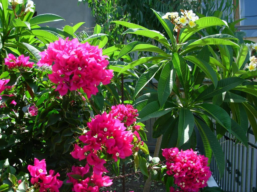 Callista Sea View Or Garden กิสเซมอส ห้อง รูปภาพ